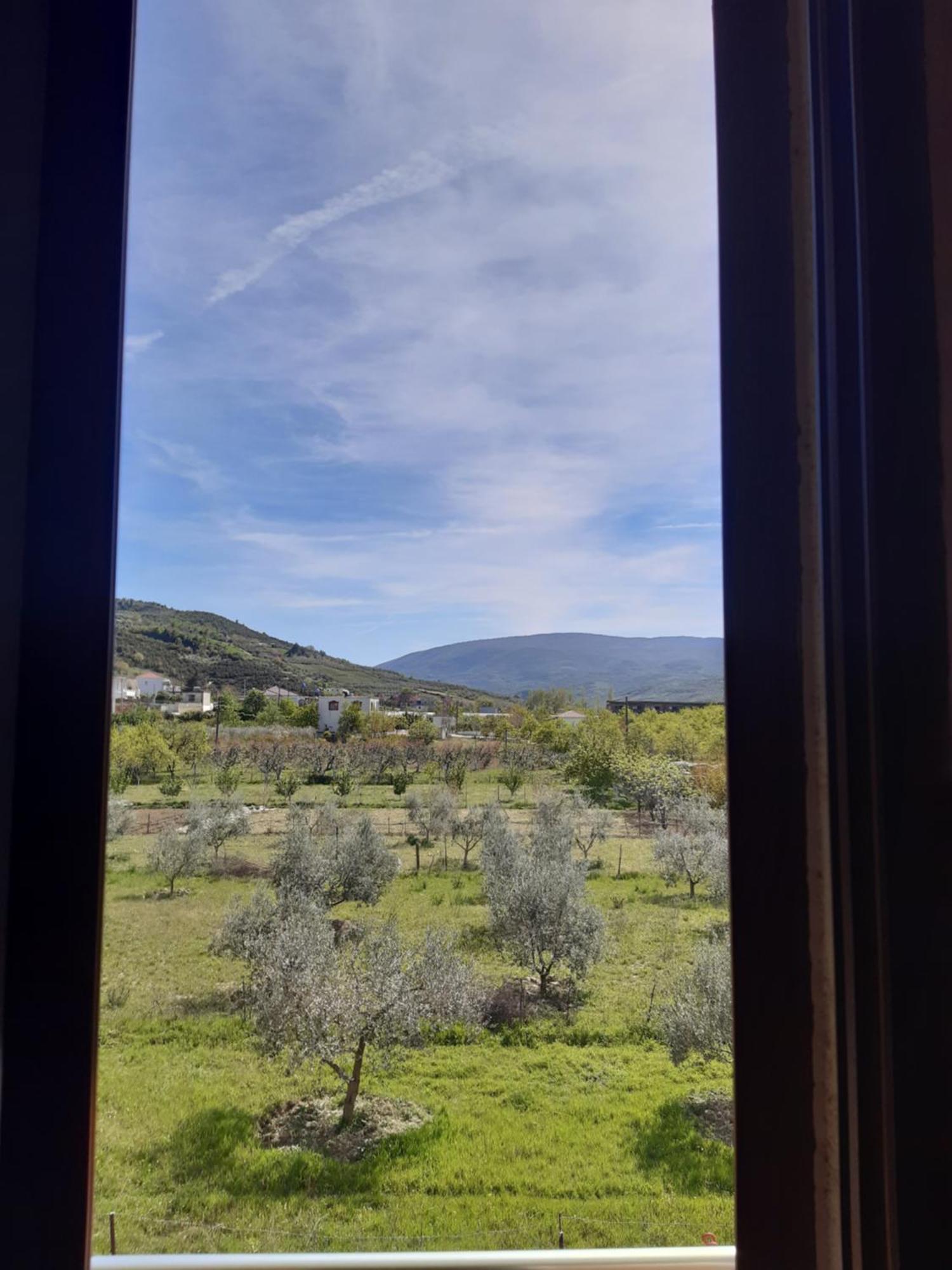 Villa Ari Berat Kültér fotó