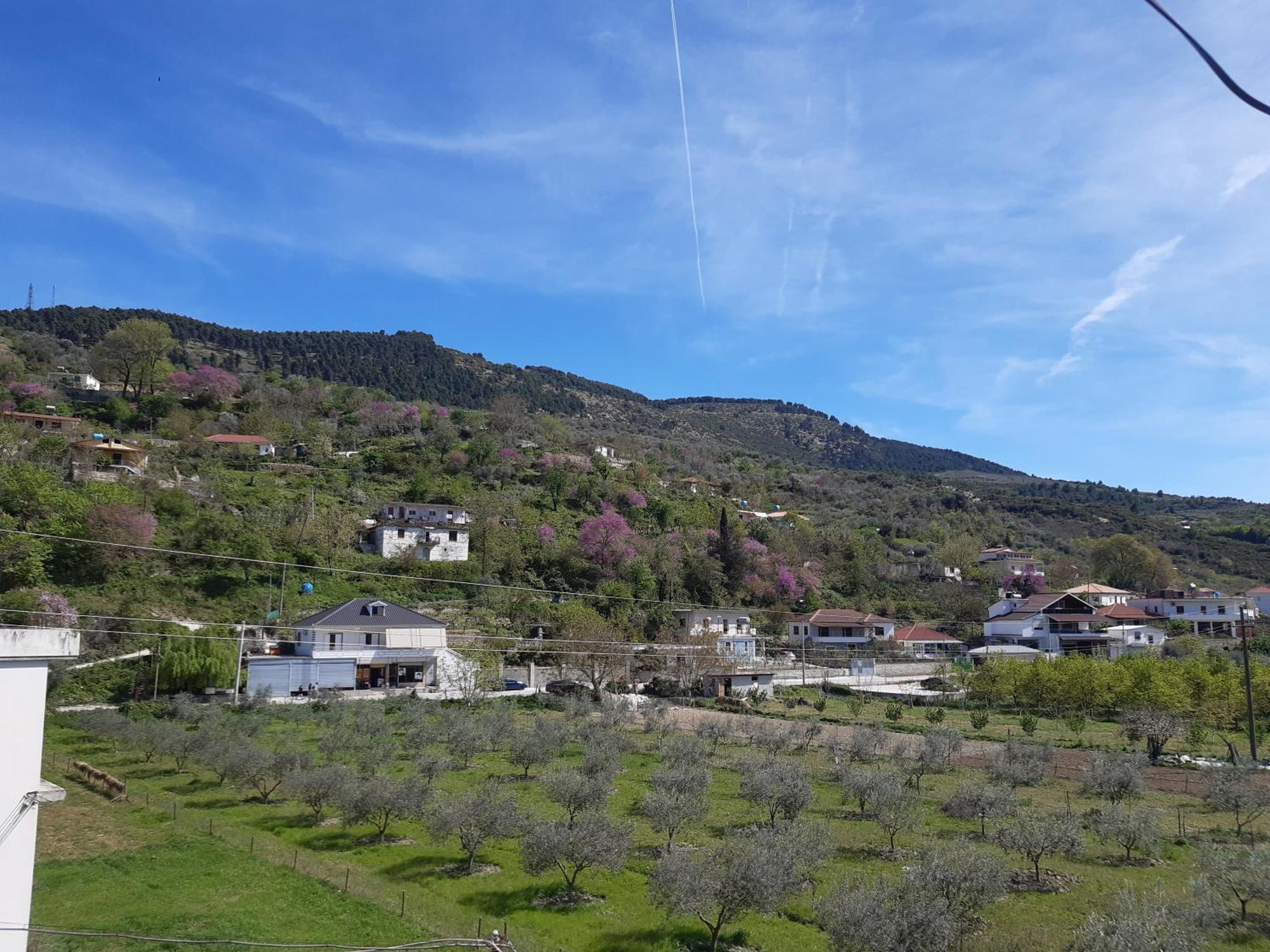 Villa Ari Berat Kültér fotó