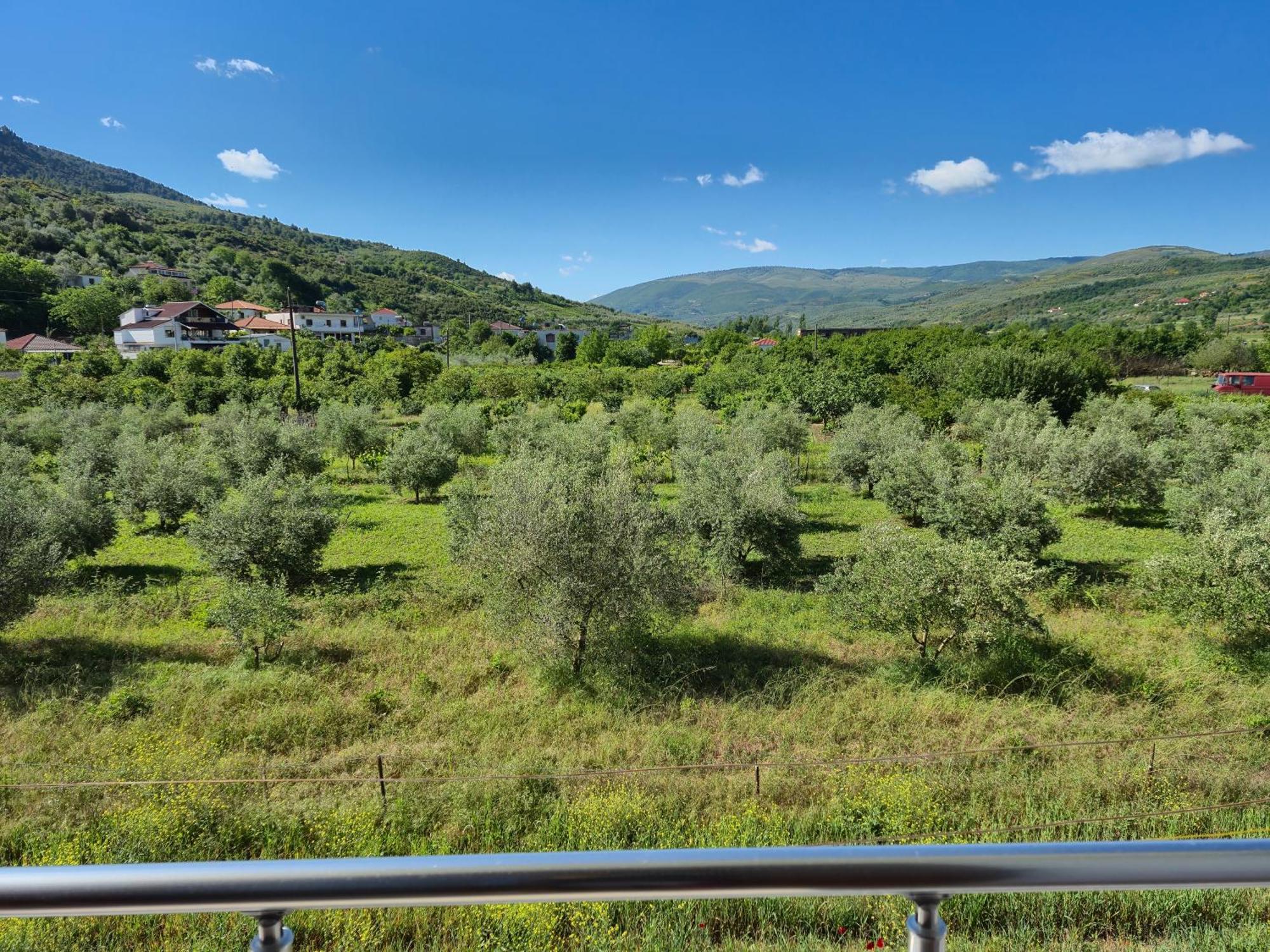 Villa Ari Berat Kültér fotó
